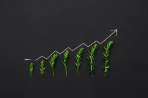 Ready, Set, Grow!