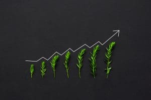 Ready, Set, Grow!